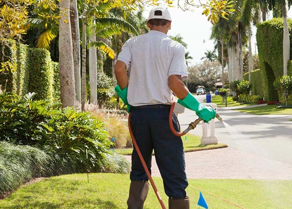 About Byromville GA Pest Control Pros